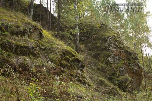 IMG_2622_r